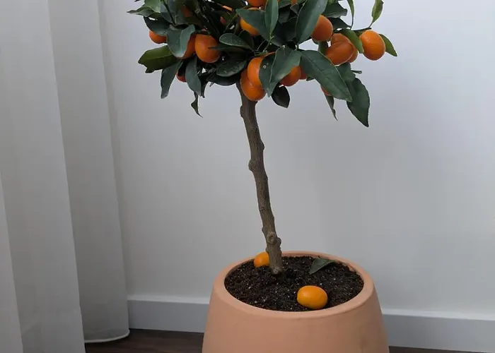 Avenue Апартаменты Апулия